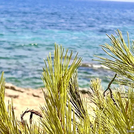 Vh Costablanca - Maite *